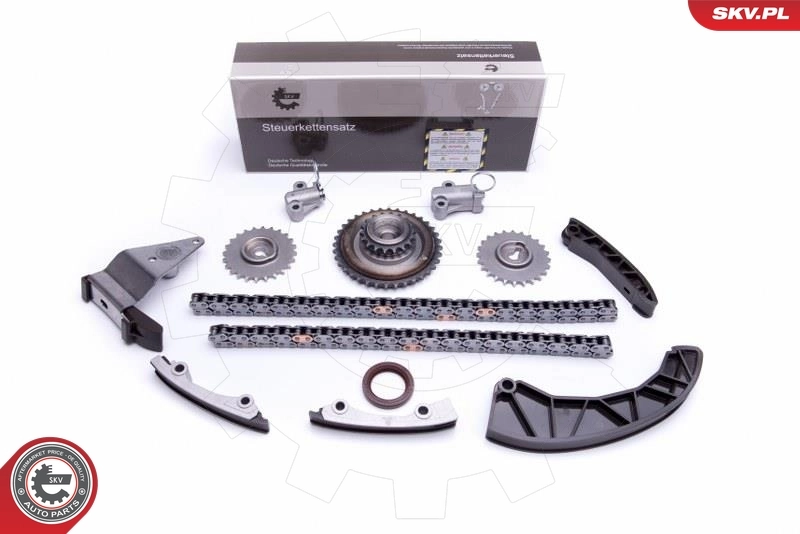 Timing Chain Kit